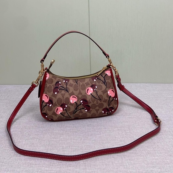 Coach Brown and Red Women´s Bag